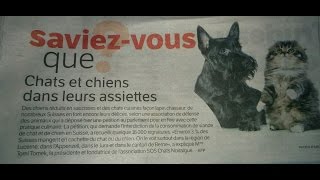 The Swiss eat cats amp dogs 3 a study finds [upl. by Franciscka]