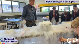 Liquid Nitrogen vs Boiling Water Experiment [upl. by Ailesor]