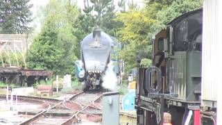 LNER 4464 Bittern at Churston Turntable 210513 23 [upl. by Anneiv]