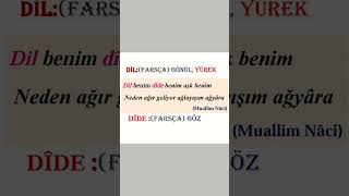 edebiyat şiir kelimeler dilimizinZenginliği Türkçe dil dîde MuallimNaci [upl. by Vashtia105]