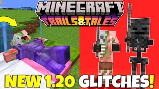 16 NEW GLITCHES In Minecraft 120 That YOU Can Try Minecraft Bedrock Edition [upl. by Heddi752]