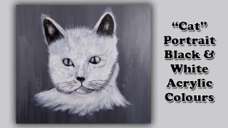 Black amp White Cat Portrait  Acrylic Painting Tutorial by Mateen [upl. by Loferski43]