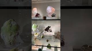 The Mineral Vault  The Mineral City Show 2023 Tucson S02 E06 [upl. by Onivag]