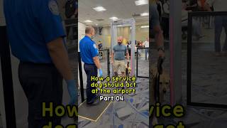 How a service dog goes through airport security [upl. by Lallage]