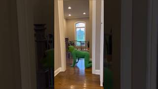 FROG ATTACKS TODDLER Toddler Gets Even 🐸 funny shorts frog [upl. by Stanway]