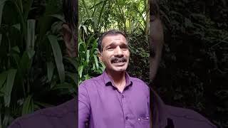 താമര ഇതൾ വിരിഞ്ഞു അയ്യപ്പ സോങ് Ayyappa song devotional [upl. by Sherr]