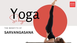 Master Shoulder Stand Sarvangasana Beginners Guide to Benefits amp Technique [upl. by Arjun]