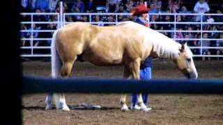 Trick Horse at the Clackamas County Fair Rodeo 2010 [upl. by Tlihcox]