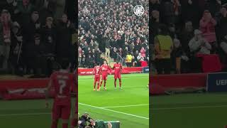 🇨🇴 Liverpool players celebrate Luis Diazs goal vs Leverkusen [upl. by Ariamo257]