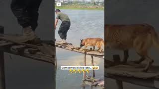 Yeh Toh Gaya 🤣 shorts youtube ytshorts funny comedy laugh [upl. by Ahsenyl]