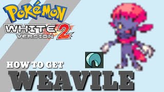 How To Evolve Sneasel into Weavile in Pokemon White 2 Version [upl. by Wiatt]