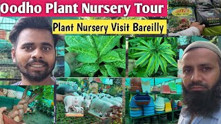 फलदार पौधों की नयी नयी किस्मे मिलेंगी इस नर्सरी में👏आम और अमरुद👏Nurseey Visit👏Plant Nursery Visit👏 [upl. by Asiuol]