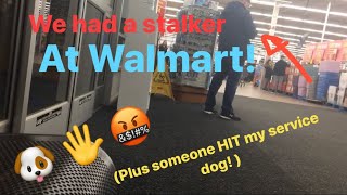 HE HIT MY SERVICE DOG  being stalked in WALMART Service dog harassment [upl. by Fenelia]