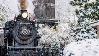 The Best Theme Park Christmas Dollywood [upl. by Stegman846]