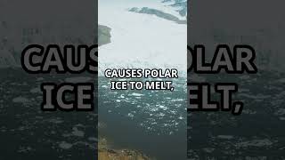 Why Are The Ice Caps Melting factsthatblowyourmind facts globalwarming [upl. by Allehcram]