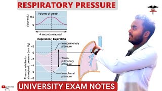 Respiratory Pressure  Mechanism of Breathing Respiratory system physiology [upl. by Ajani]