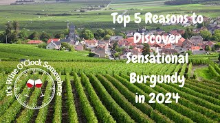 Top 5 Reasons to Discover Sensational Burgundy in 2024 [upl. by Bloem182]