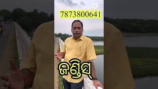 ଜଣ୍ଡିସ୍ ll What is Jaundice ll Dr Biraja Prasad Biswal health care [upl. by Nosmas521]