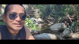 Sturtevant Falls Hike Arcadia California [upl. by Karol764]