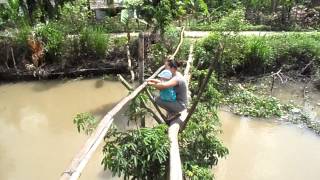 Vietnam 512 monkey bridge [upl. by Omlesna]