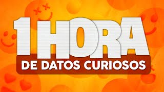 1 HORA de DATOS CURIOSOS y COSAS QUE NO SABÍAS ⏰😲 [upl. by Aritak86]