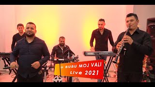 Festi Sheges  Vali Live Gezuar 2021 [upl. by Dambro969]