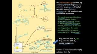 Pharm2  ED50 LD50 Therapeutic index margin of safety partial amp full agonist [upl. by Bhayani]