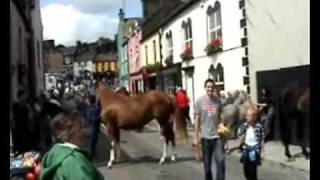 Ballabuidhe Horse Fair Dunmanway 2009 [upl. by Drofnas501]