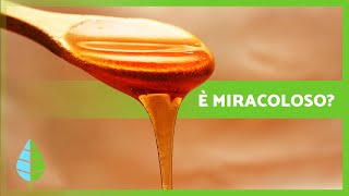 8 incredibili BENEFICI del MIELE 🍯✅ Cosa succede se bevi MIELE ogni mattina [upl. by Margit860]