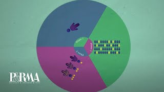 The Drug Discovery Process [upl. by Sucerdor251]