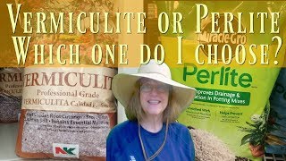 Vermiculite vs Perlite  Which Should I Choose [upl. by Shoifet]