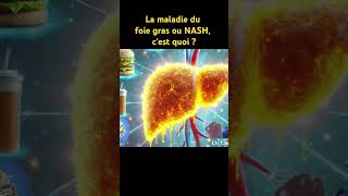 La minute La maladie du foie gras ou NASH cest quoi  shorts santé nutrition inflammation [upl. by Harobed318]