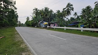 79 hectares lot for sale highway at Tubigon Bohol Philippines 300sqm [upl. by Anotyal]