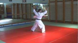 Nanbudo INF  performing the kata for competition  Shoshin yondan [upl. by Trygve]