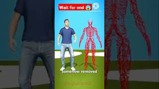 Long Your Blood Vessels 😱 shorts youtubeshorts viralvideo trending [upl. by Loralyn]