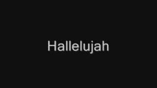 John Cale  Hallelujah Lyrics best version [upl. by Heinrick]