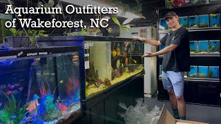 Aquarium Outfitters of Wake Forest NC fish unboxing December 1 2022 [upl. by Okia]