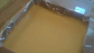 How To Make Soap Step by Step Cold Process Goat Milk Soap with Shea Butter [upl. by Opiak]