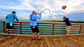 Fishing with Live Bait off the Pier and Caught This Ive Been Missing Out [upl. by Ilegna]