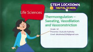 Grade 12  Life Science  Thermoregulation Sweating Vasodilation and vasoconstriction [upl. by Sapphira262]