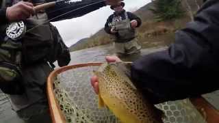 Fly Fishing for Trout  feat Dave Brandt  WB Delaware River Beaverkill River Neversink River [upl. by Josh]