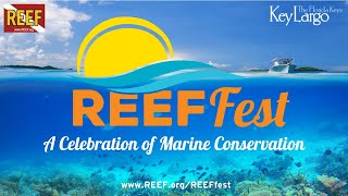 REEF Fest 2023 Seminars quotSeafood Fraudquot by Dr John Claydon [upl. by Donaldson]