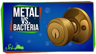 Metal vs Bacteria [upl. by Farrel]