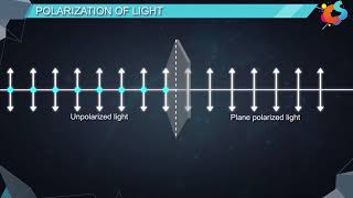 16  Class 12  Physics  Wave Optics  Polarisation [upl. by Bautista717]