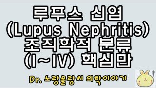 루푸스 신염Lupus nephritis 루푸스콩팥염 조직학적 분류Class IVI [upl. by Onitselec]