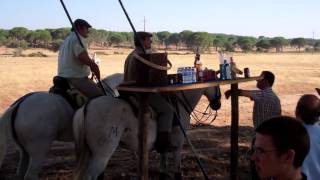 Acoso e Derribo  Horse Experience  Portugal  Sucandi [upl. by Corrina]