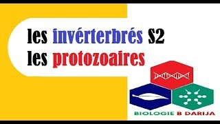 biologie animale S2 introduction  البيولوجيا بالدارجة [upl. by Ylram]