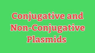 Conjugative Plasmid and Non Conjugative Plasmids Difference between Conjugative and Non Conjugative [upl. by Nohsav677]