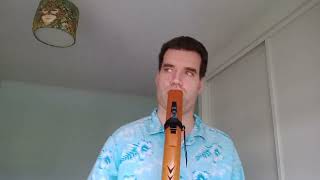 Native American Bass Flute Jam [upl. by Enaej]