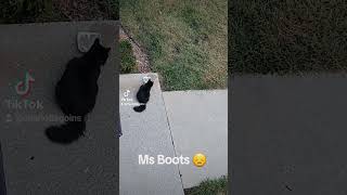 Ms Boots [upl. by Bein]